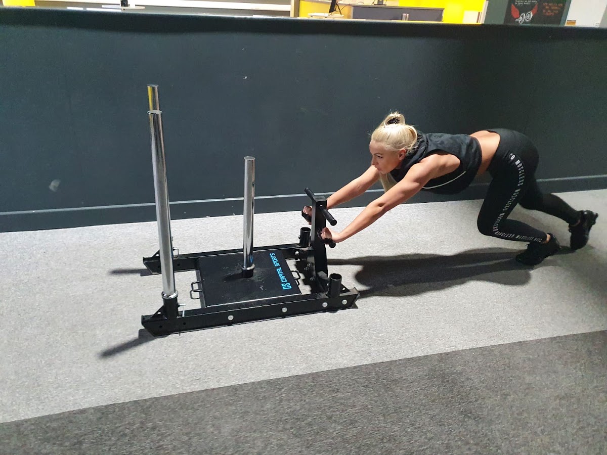 Prowler sled drive in the gym